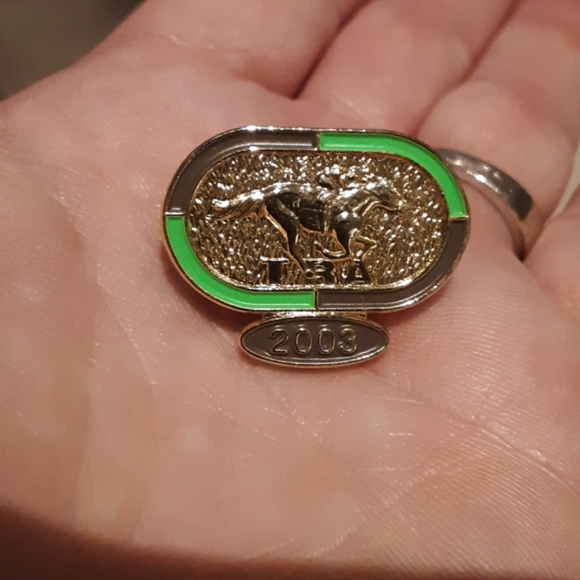 Racetrack horse  pin - Picture 4 of 5